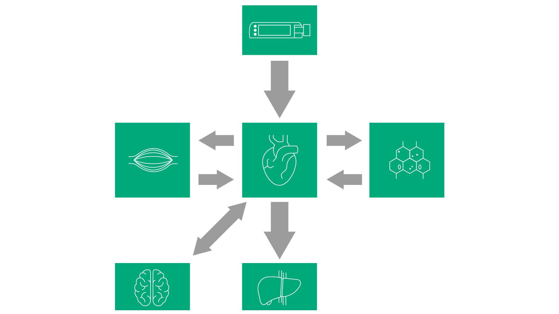 Grüne Figuren sind dargestellt, die jeweils ein anderes Organ repräsentieren. Eine Figur hat ein Herz, eine andere ein Gehirn, eine dritte eine Leber und die letzte eine Nieren.