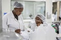 Laborantinnen des Testlabors von B. Braun in Longlake, Johannesburg tauschen sich über die Ergebnisse der Testungen der Produkte aus.