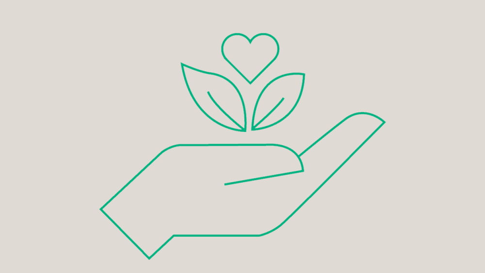 Hand hält eine Pflanze mit einem Herz darüber, das Umweltfreundlichkeit symbolisiert
