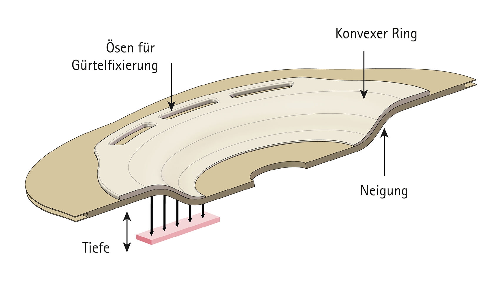 Darstellung des konvexen Querschnitts eines Hautschutzes mit Beschreibung