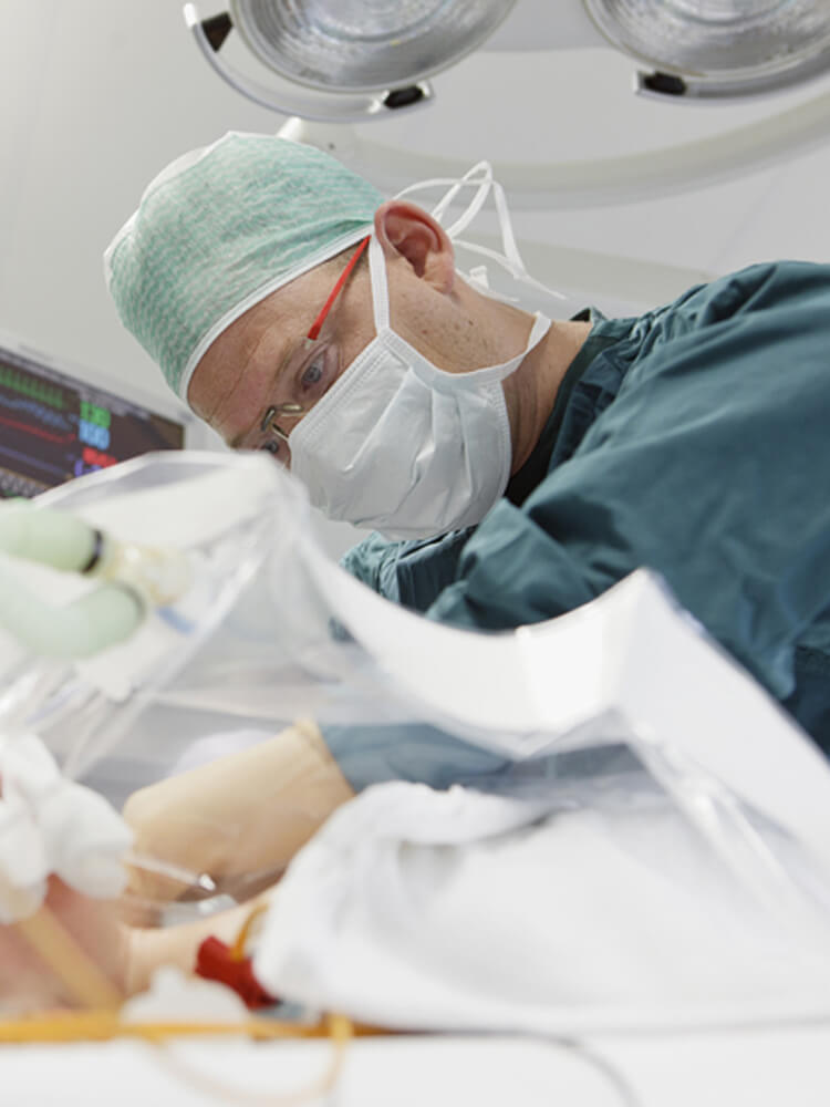 Eric Koomen, Utrecht, Niederlande