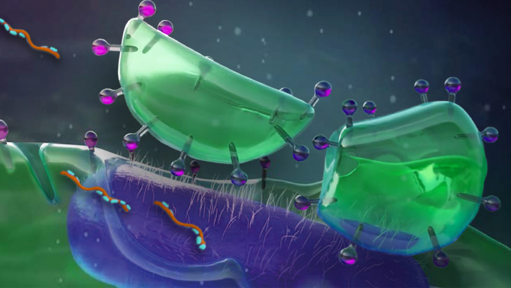 Farbenfrohe wissenschaftliche Illustration von Biofilmzellen​